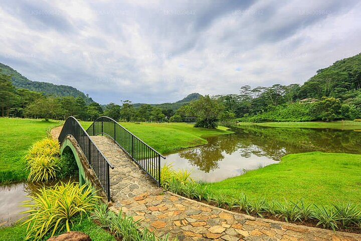 Seethawaka Botanical Garden Day Tour From Colombo With Lunch - Photo 1 of 5